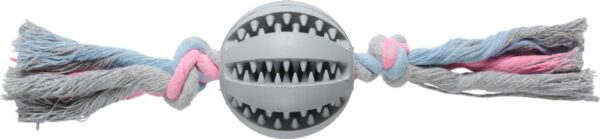 Companion - Dental bidebold på reb